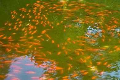 Switch 2续航能力下降 任天堂开发者给出解释